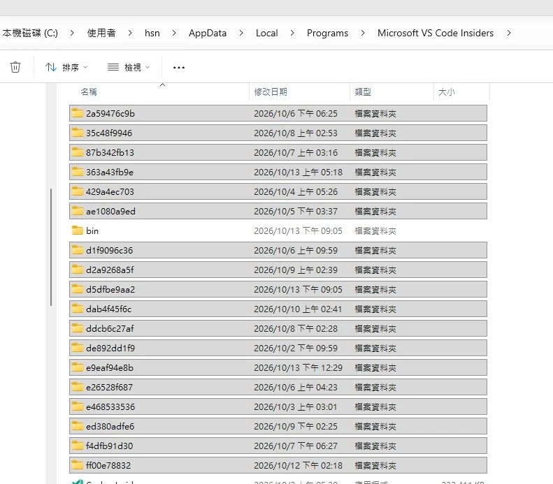 VS Code Insiders 安裝目錄中大量以亂碼命名的資料夾